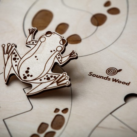 developmental-toy-for-children-frog-soundswood
