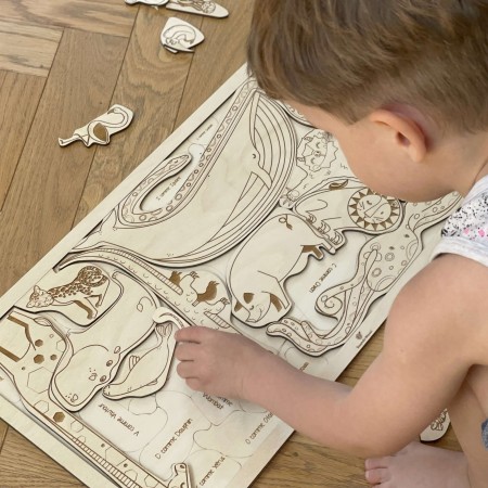 developmental-toy-whale-lion-for-kids-soundswood