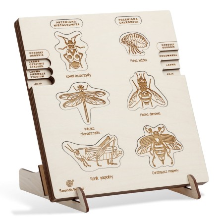 puzzle-montessori-development-stages-soundswood