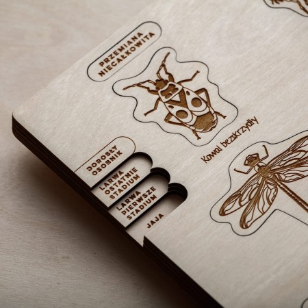 handmade-bugs-toy-for-kids-soundswood