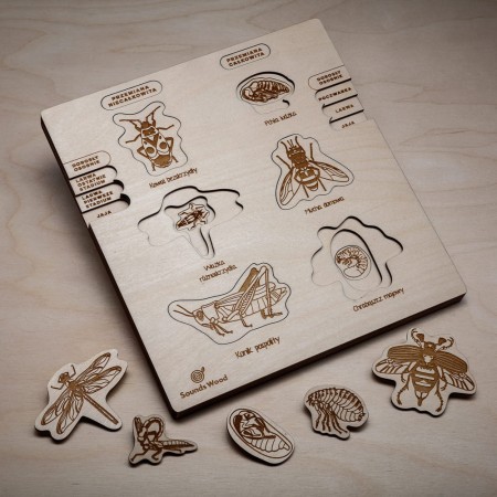 educational-developmental-insects-toy-for-kids-soundswood