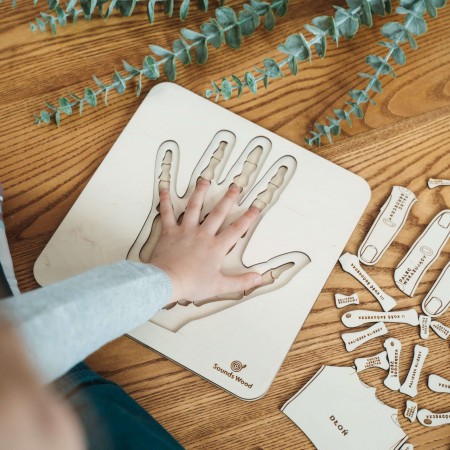 montessori-biology-wooden-puzzle-soundswood