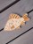 educational-wooden-puzzle-fish-for-toddlers-soundswood