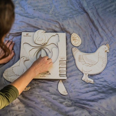 Projekt bez nazwy (9).jpg