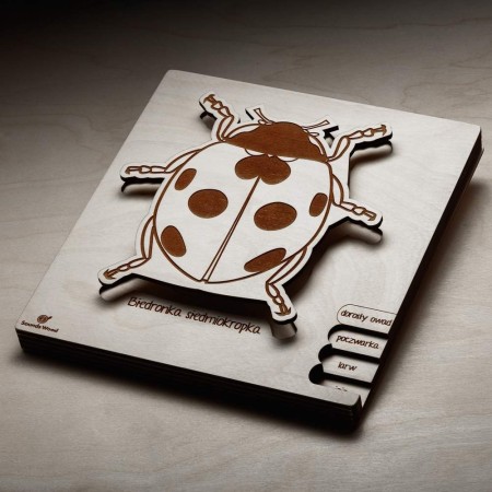 eco-friendly-toys-insects-for-kids-soundswood