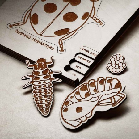 educational-wooden-puzzle-ladybug-kids-soundswood
