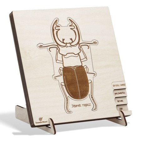 educational-wooden-puzzle-beetle-kids-soundswood