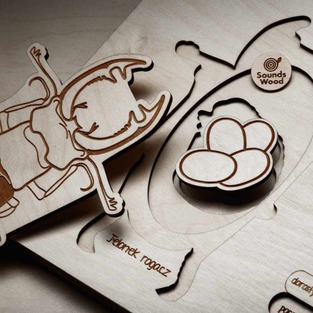 eco-friendly-toys-life-cycle-for-children-soundswood