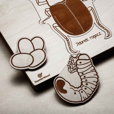 educational-wooden-toys-insects-kids-soundswood
