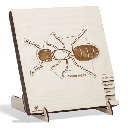 montessori-wooden-puzzle-insects-soundswood