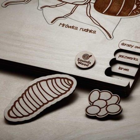 educational-wooden-puzzle-red-ant-soundswood