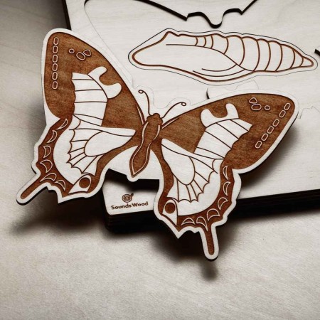 educational-wooden-toys-science-soundswood