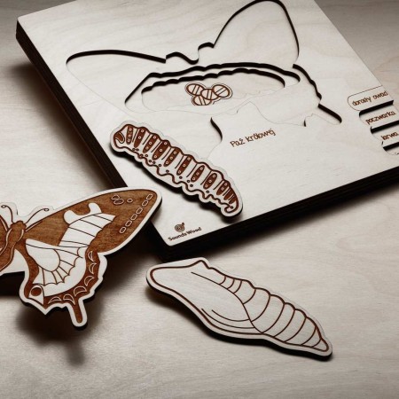 natural-wooden-puzzle-insects-for-children-soundswood