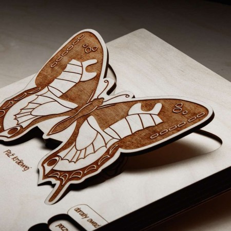 eco-friendly-toys-butterfly-for-kids-soundswood