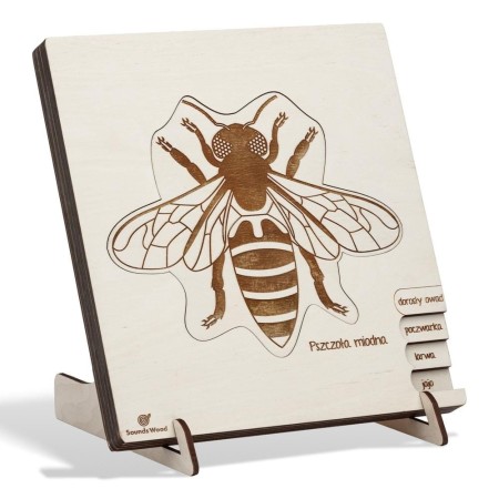 Projekt bez nazwy (82).jpg