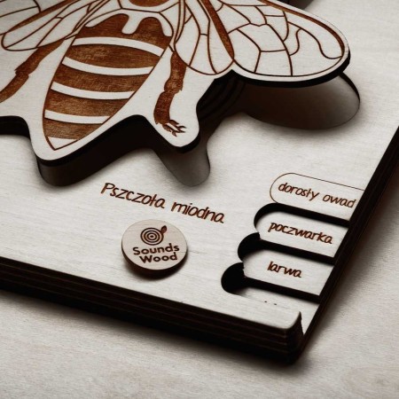 Projekt bez nazwy (49).jpg