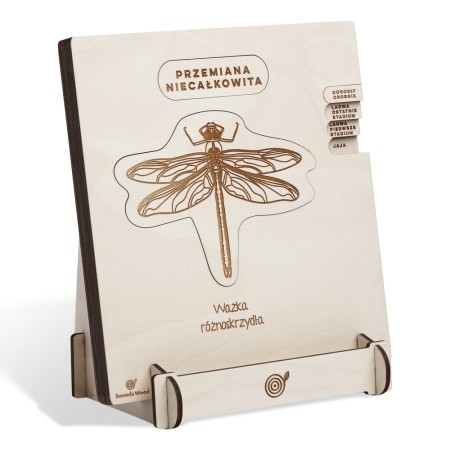 educational-wooden-puzzle-dragonfly-soundswood