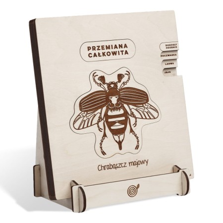 educational-wooden-puzzle-cockchafer-soundswood